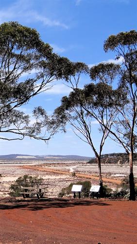 Cherry Island, Lake Cowan, Norseman, WA.